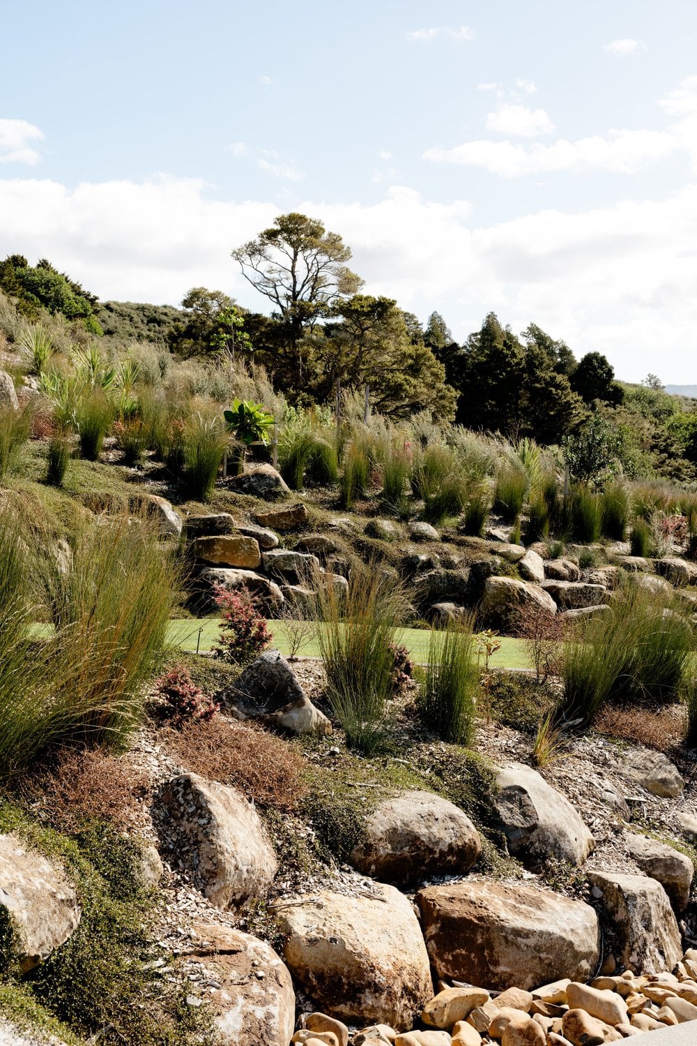 Rockwork and planting at the Takatu Landscape Project