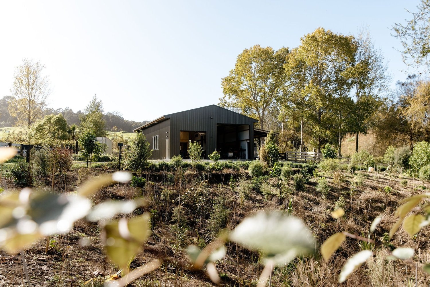 Dark-clad rural barn surrounded by trees and planting
